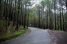 Roads leading to Lansdowne Roads leading to Lansdowne